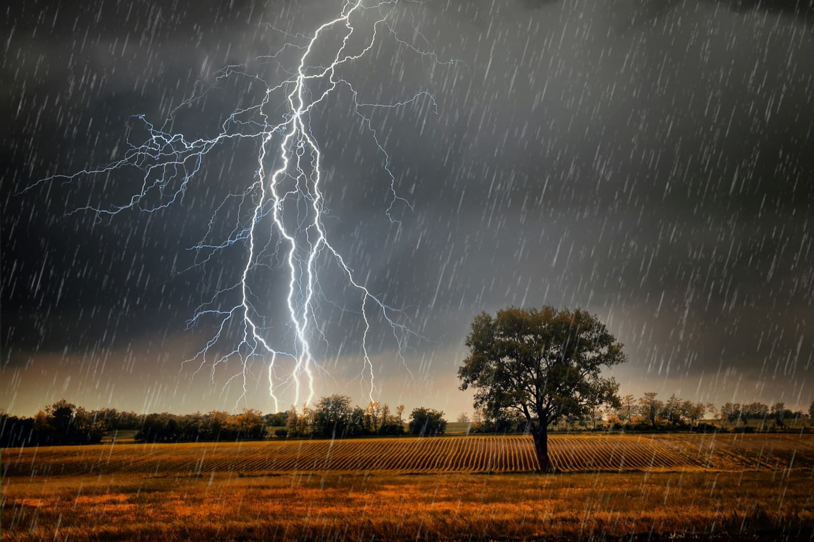 Extreme Rainfall